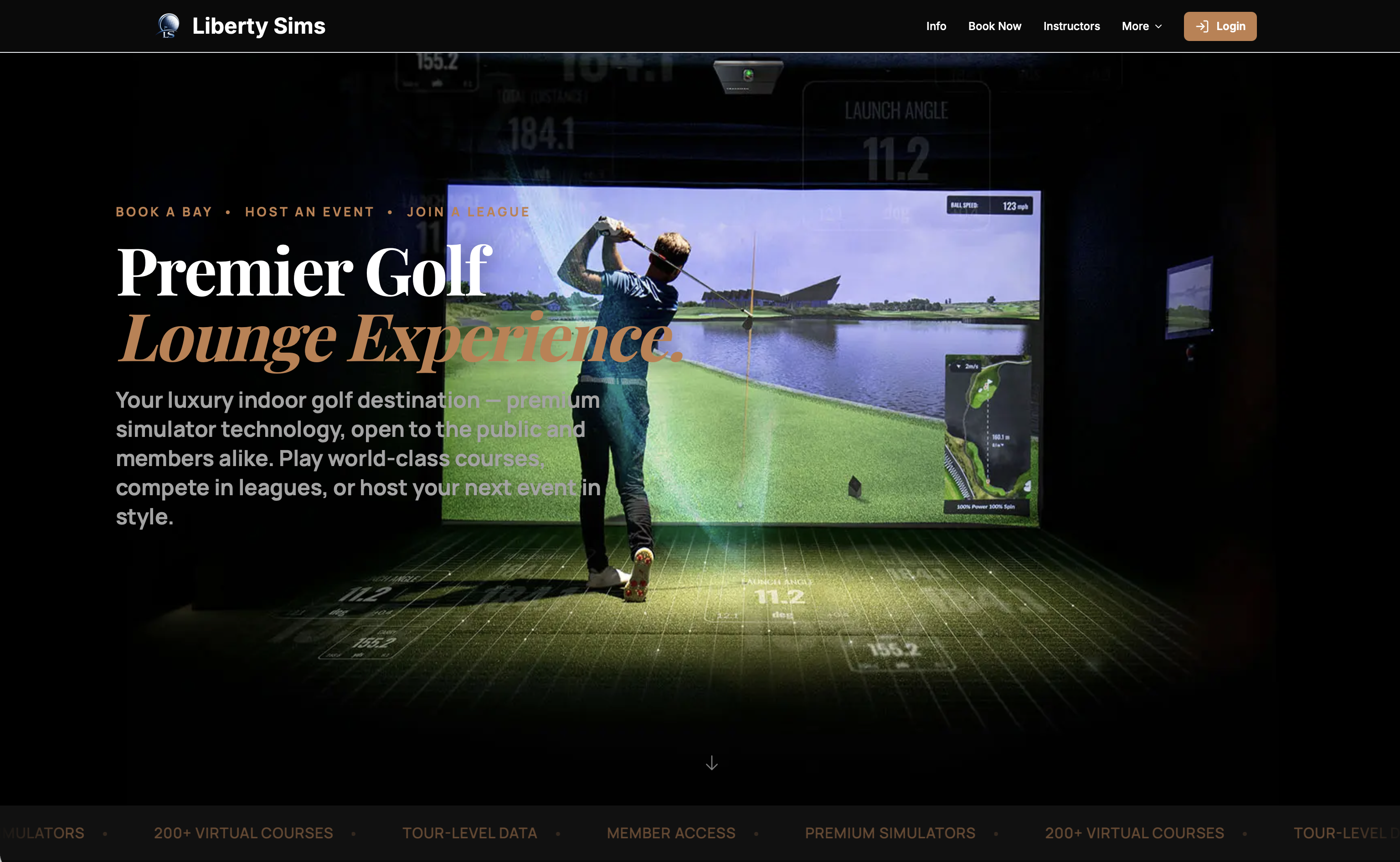 Professional business website built with VTeeGolf